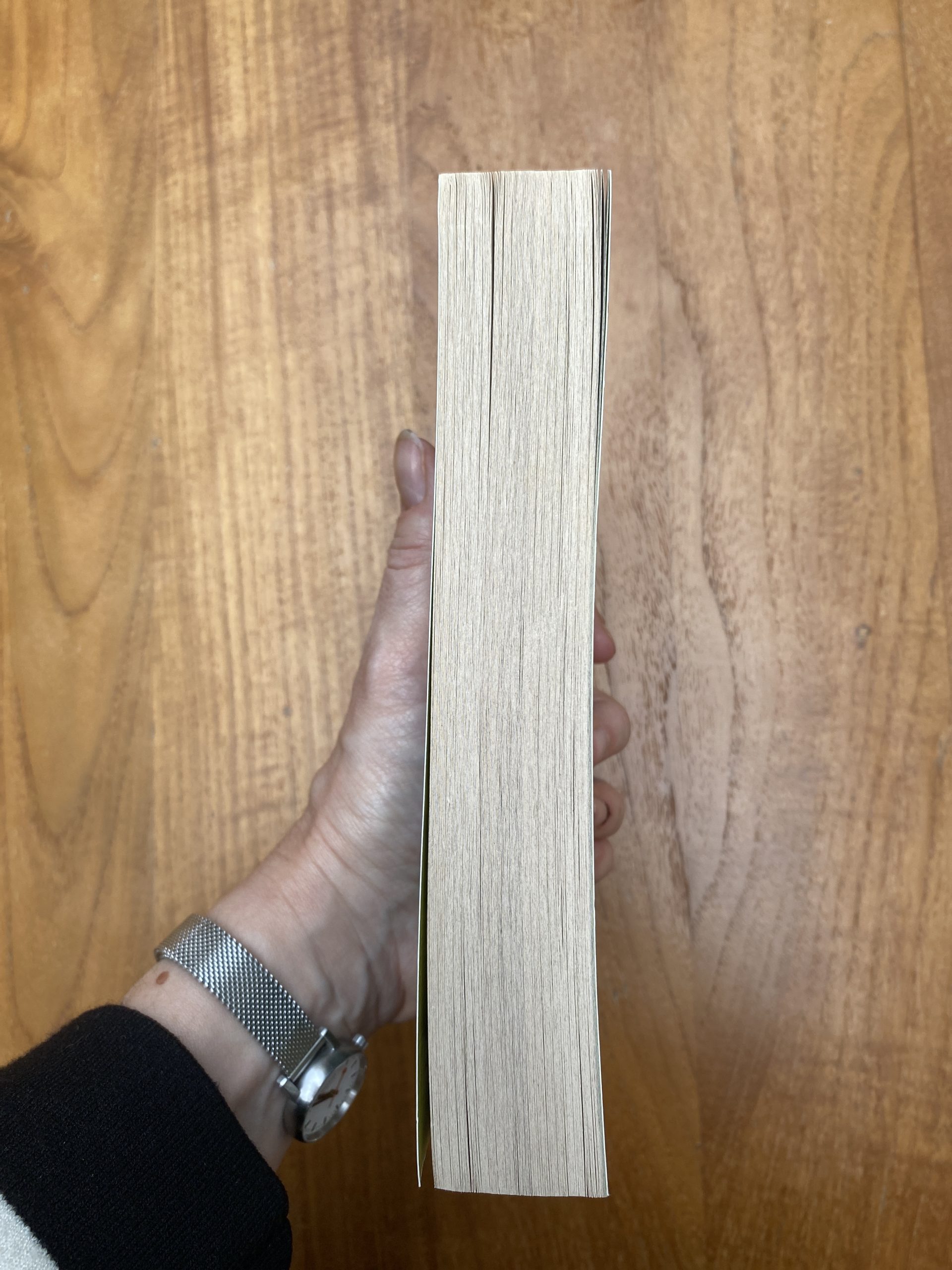 The Sanatorium - Image 3