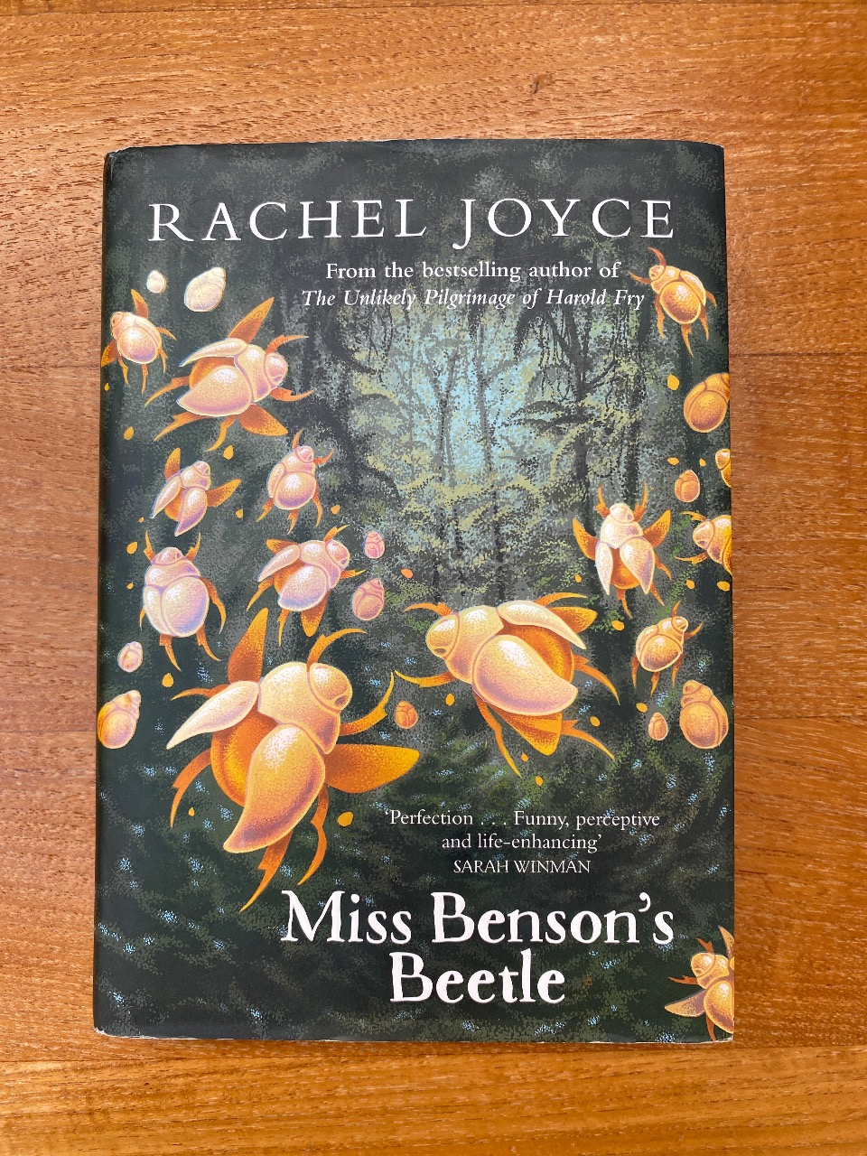 Miss Benson's Beetle