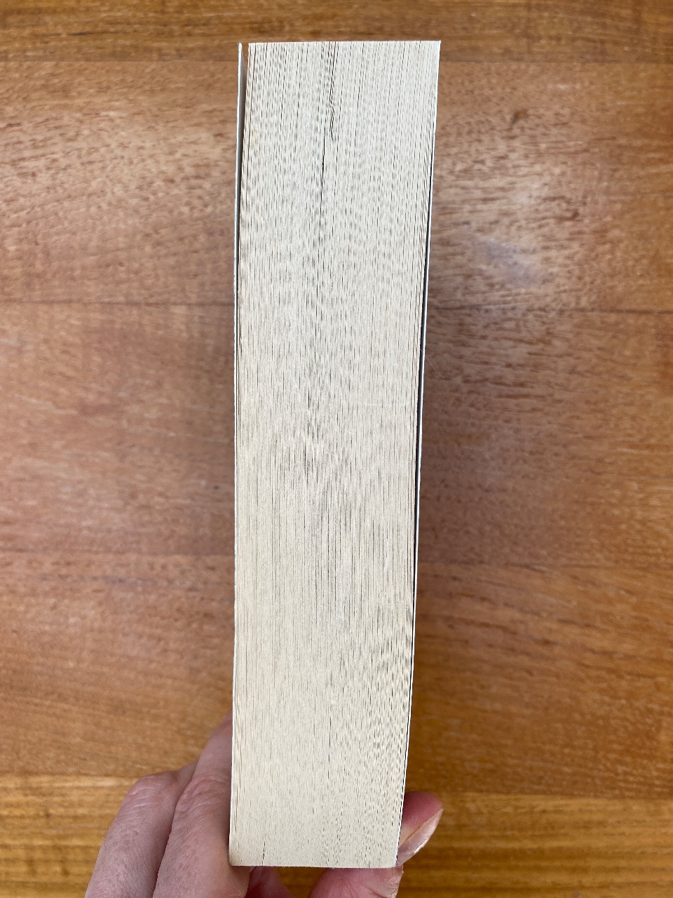 Hothouse Flower - Image 3