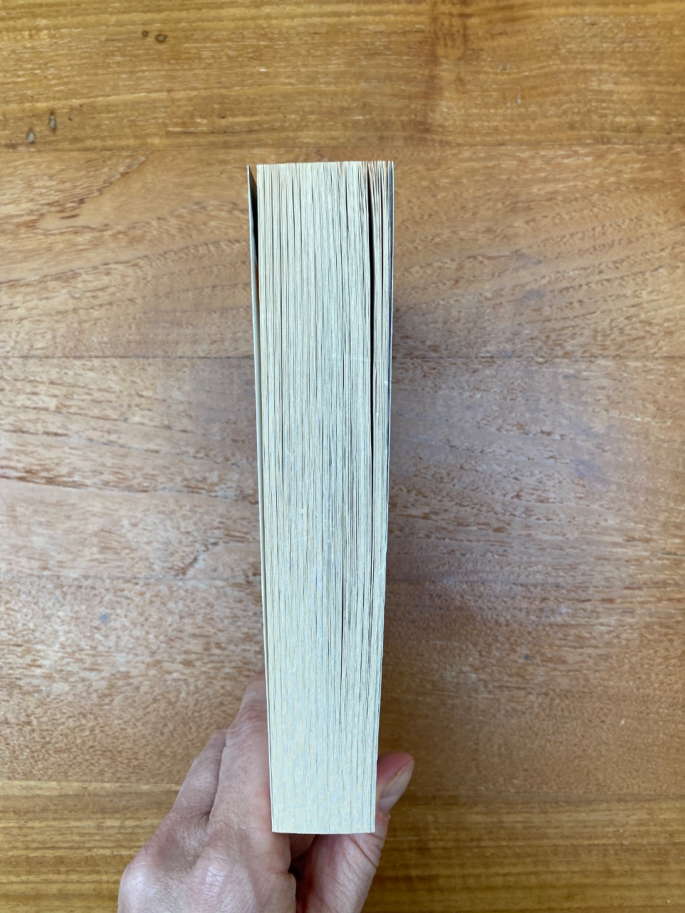 He Said/She Said - Image 4