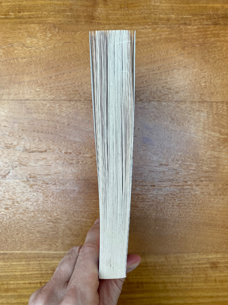 A Fatal Obsession - Image 3