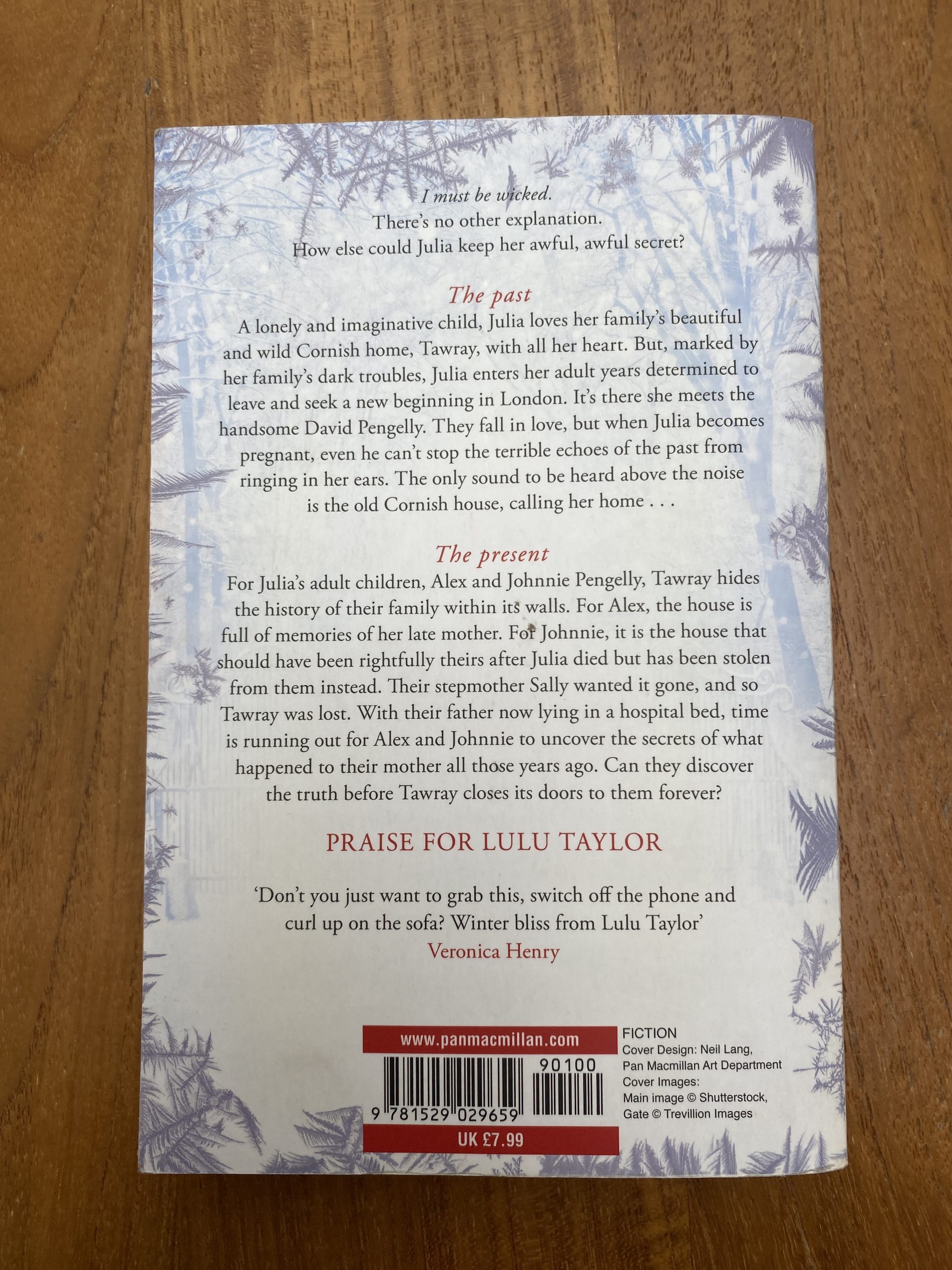 A Midwinter Promise - Image 2