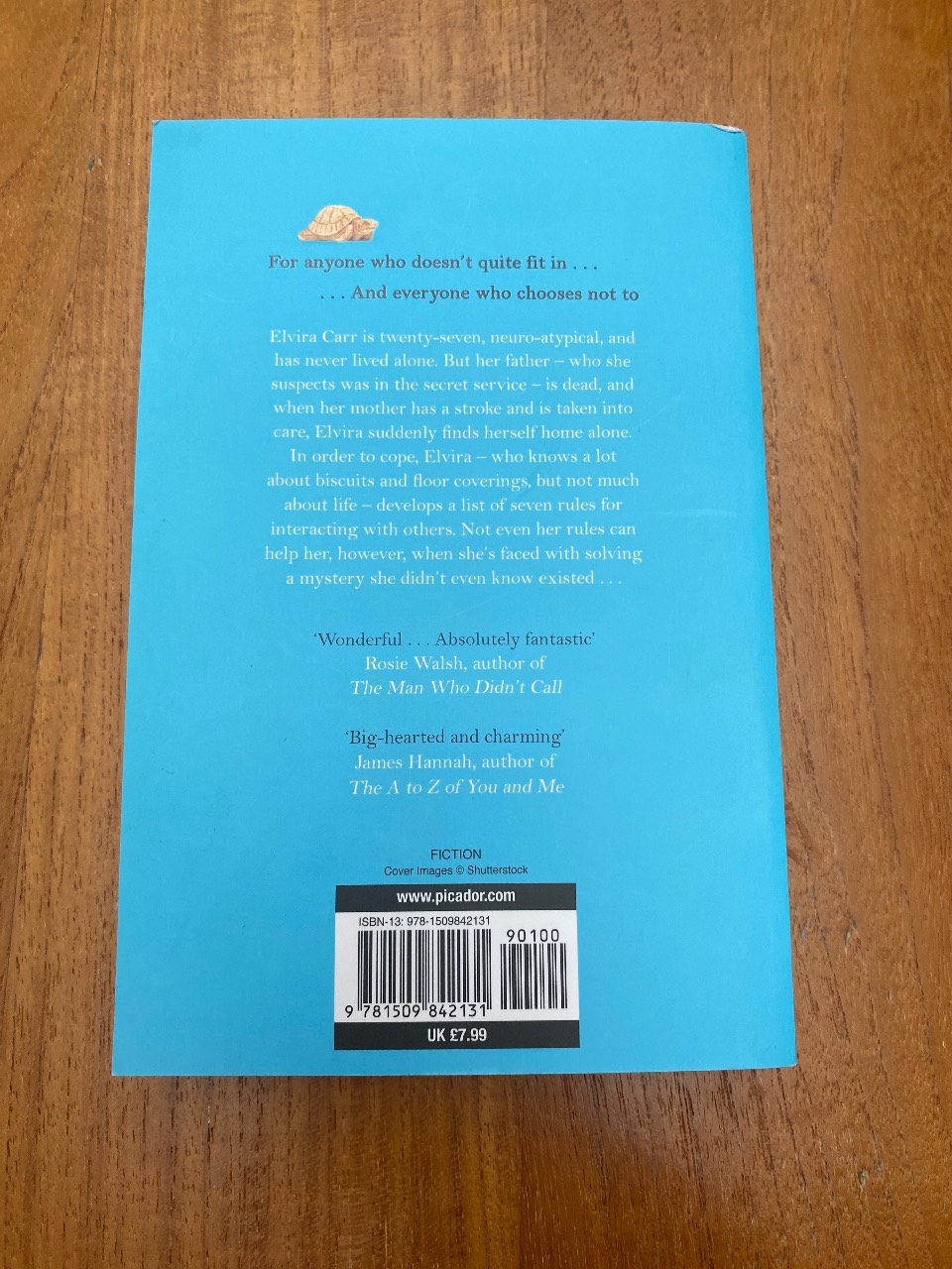 The Seven Imperfect Rules of Elvira Carr - Image 2