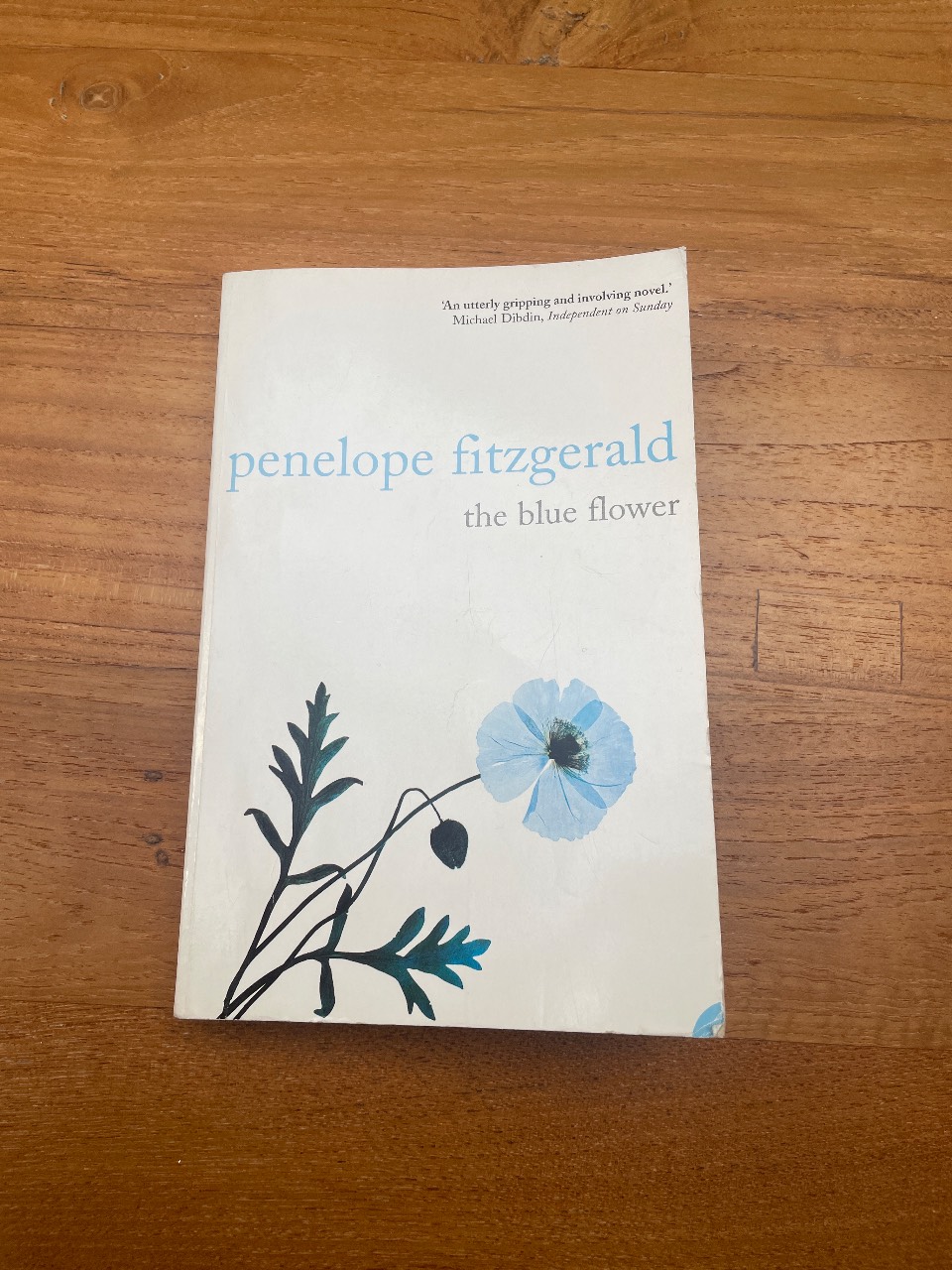 The Blue Flower