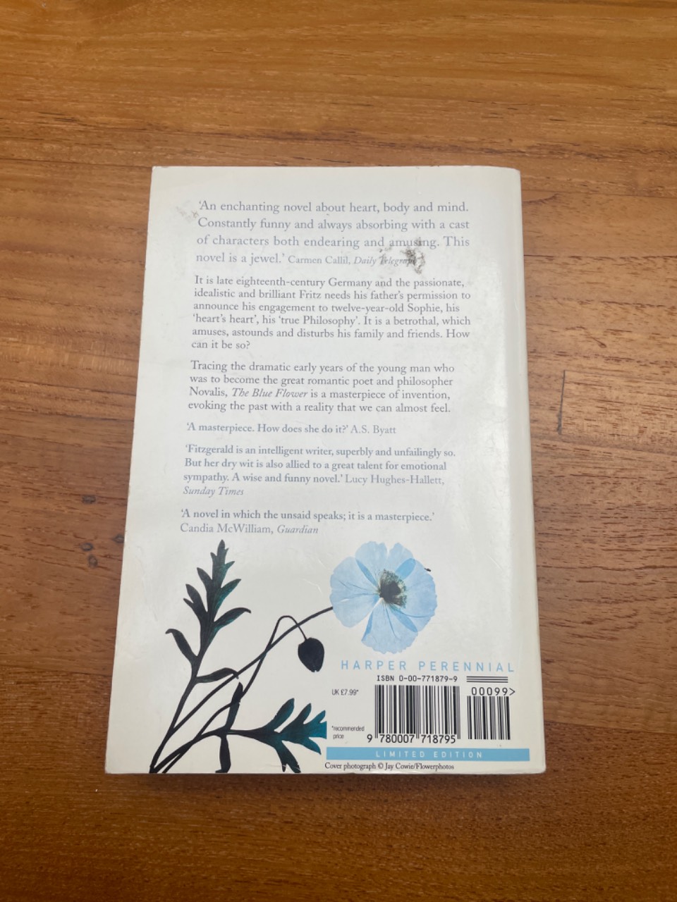 The Blue Flower - Image 2