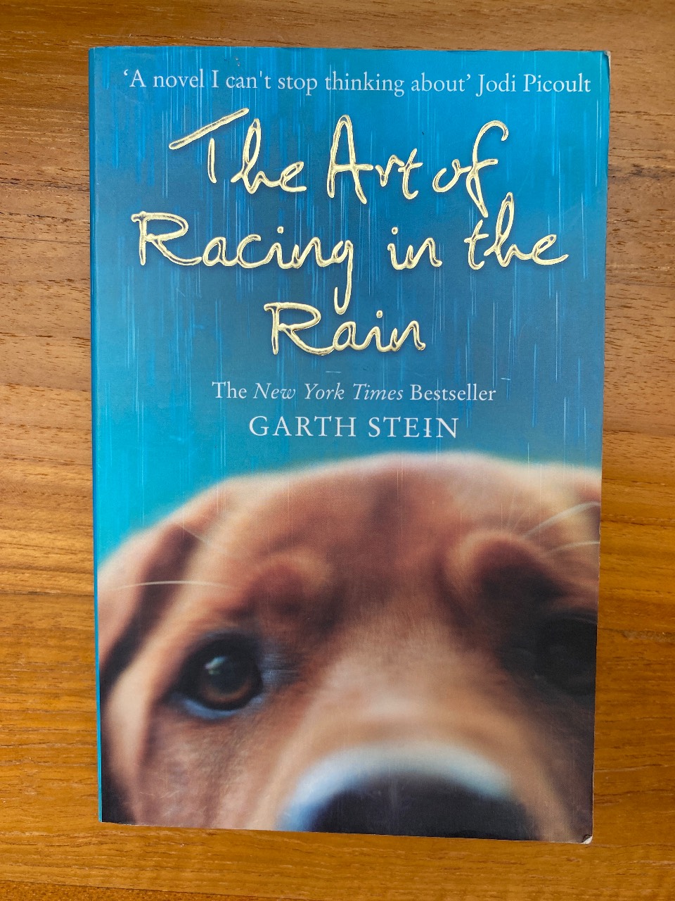 The Art of Racing in the Rain