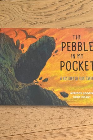 The Pebble in My Pocket A History of Our Earth