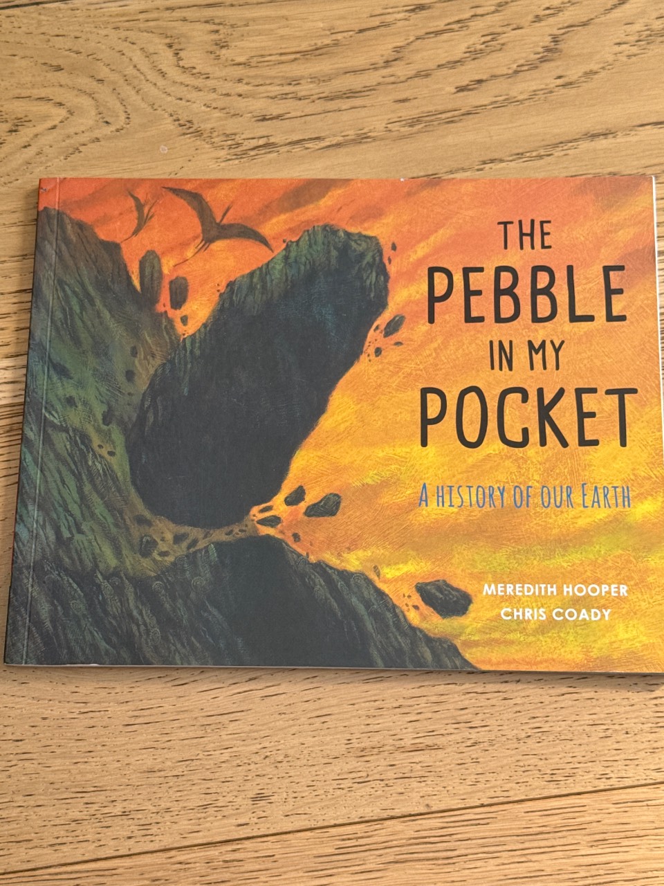 The Pebble in My Pocket A History of Our Earth