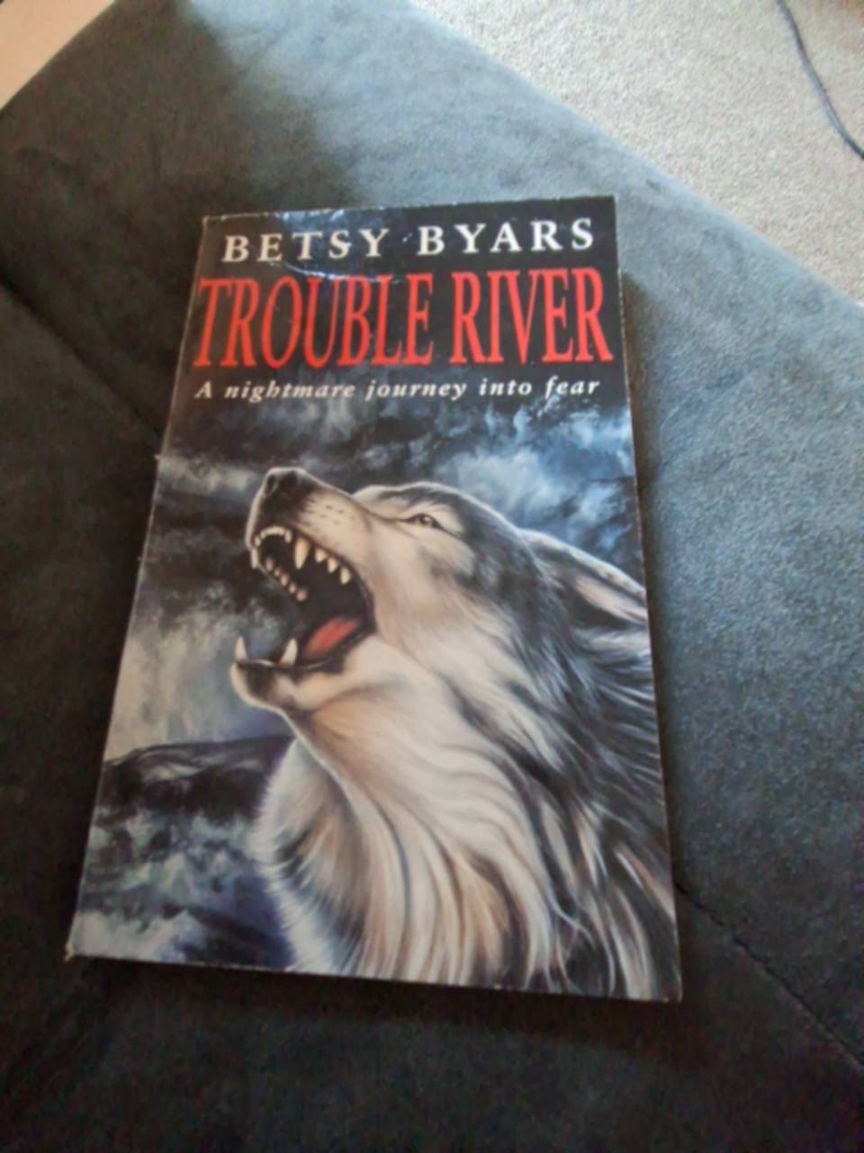 Trouble River