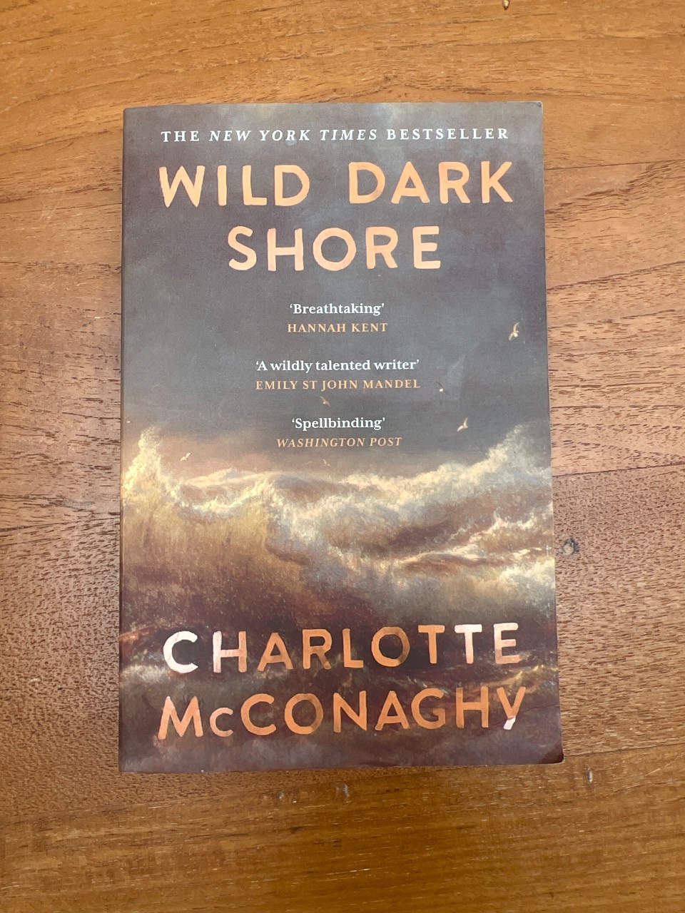 Wild Dark Shore