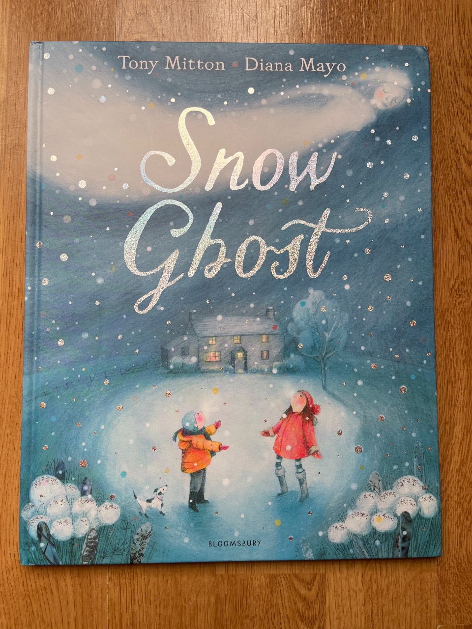 Snow Ghost The Most Heartwarming Picture Book of the Year