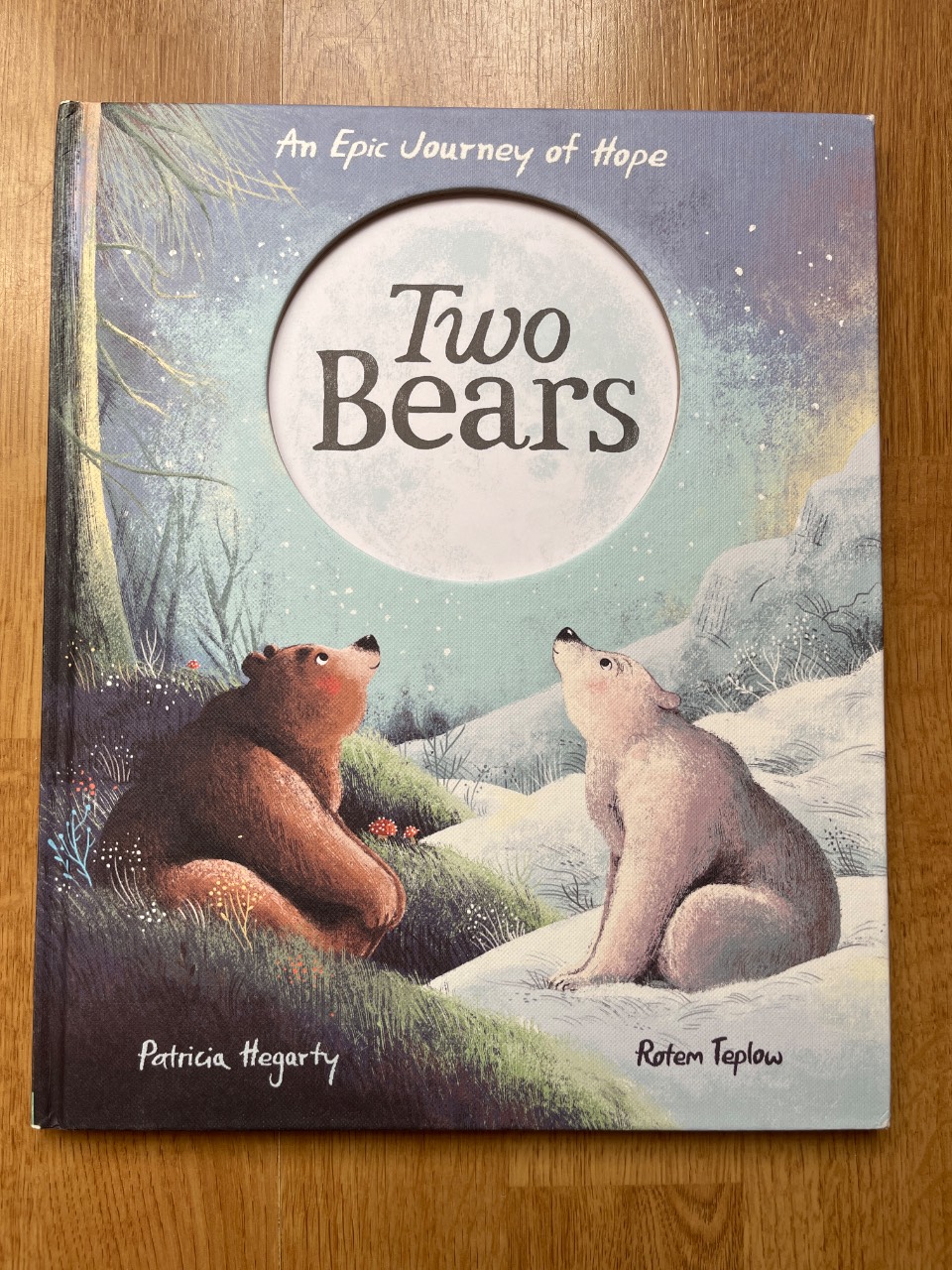 Two Bears An Epic Journey of Hope