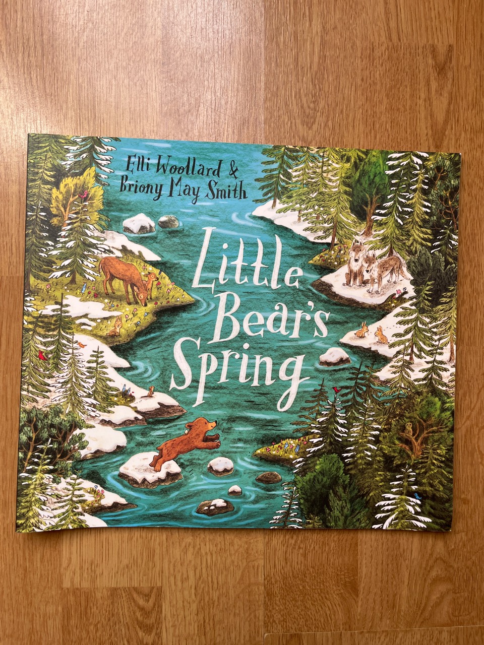 Little Bear's Spring
