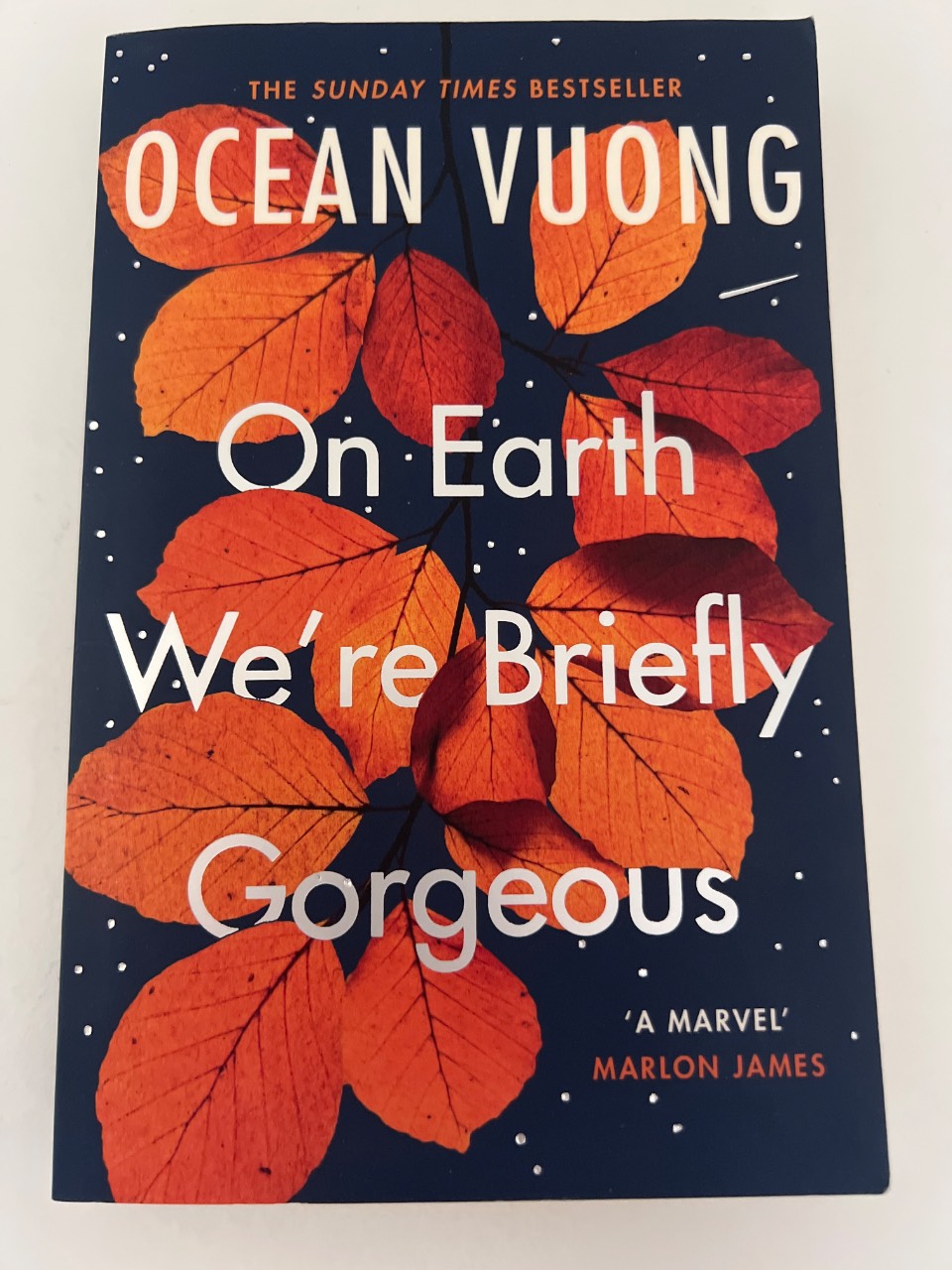 On Earth We're Briefly Gorgeous