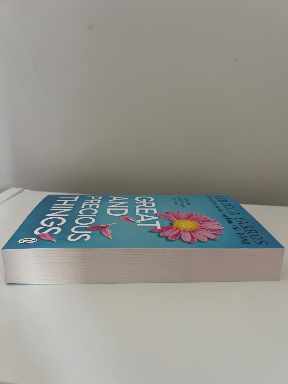 Great and Precious Things TikTok Made Me Buy It: the Most Emotional and Heart-Wrenching Romance Of 2022 - Image 3