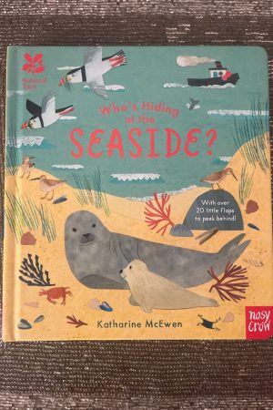 Who’s hiding at the seaside?