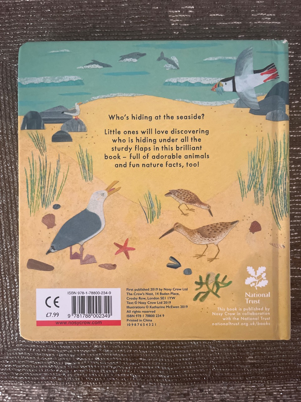 Who’s hiding at the seaside? - Image 2