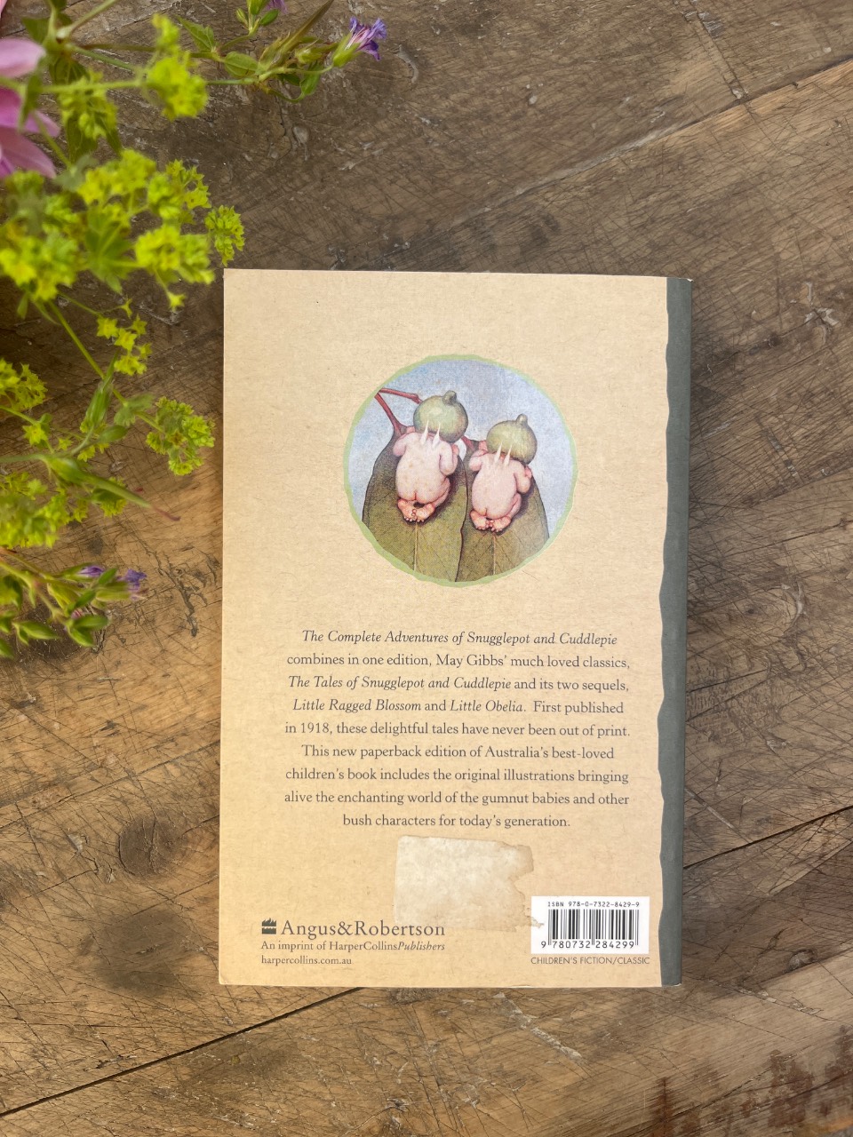 The Complete Adventures of Snugglepot and Cuddlepie Including Little Ragged Blossom and Little Obelia - Image 2