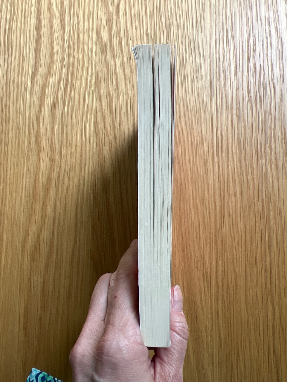 Fahrenheit 451 - Image 3