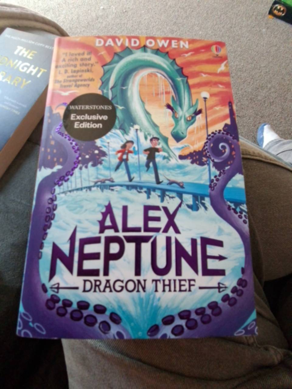 Alex Neptune, Dragon Thief