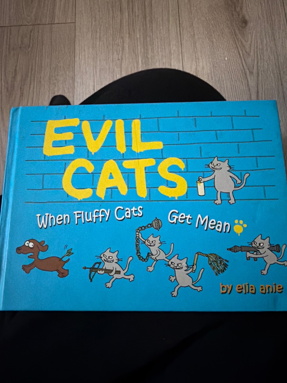 Evil Cats