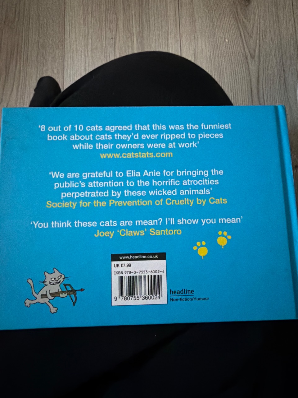 Evil Cats - Image 2