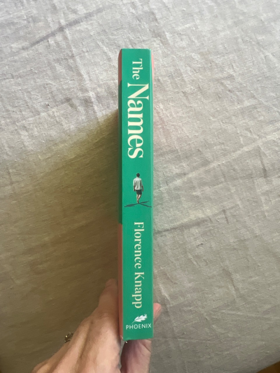 The Names 'the Best Debut Novel in Years' Sunday Times - Image 3
