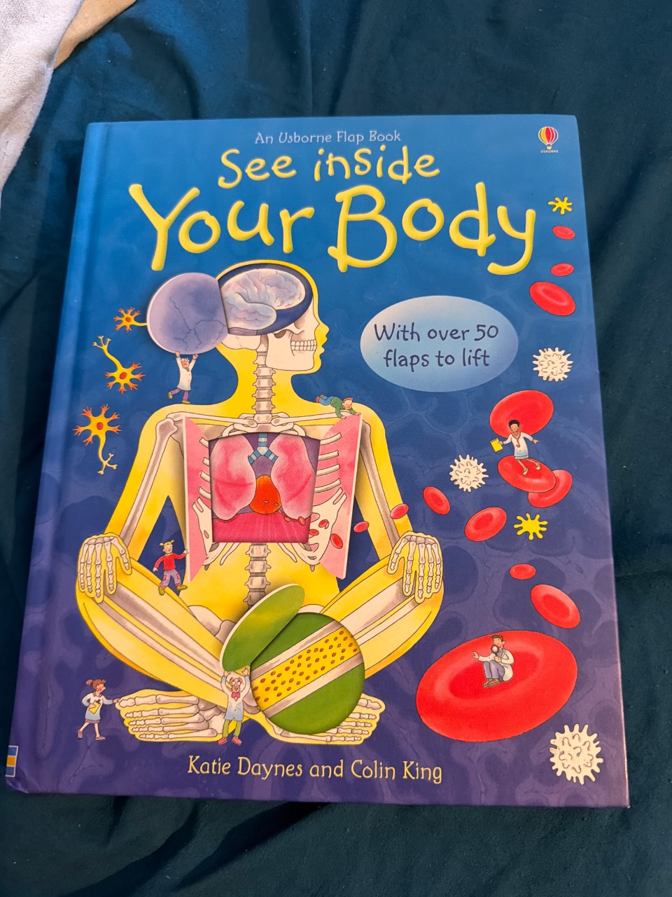 See Inside Your Body