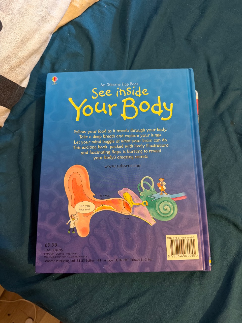 See Inside Your Body - Image 2
