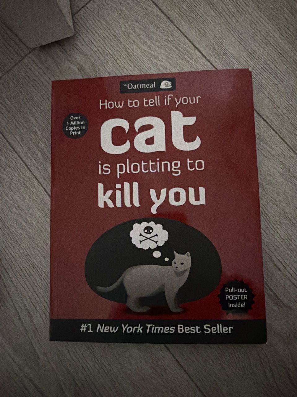 How to Tell If Your Cat Is Plotting to Kill You