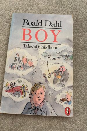 Boy Tales of Childhood