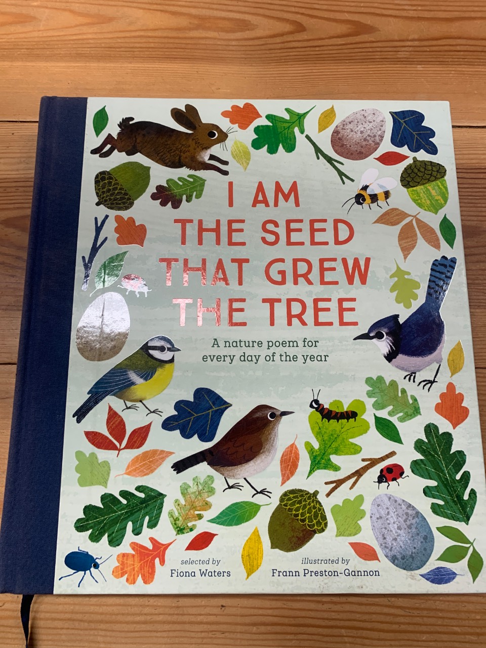 I Am the Seed that Grew the Tree