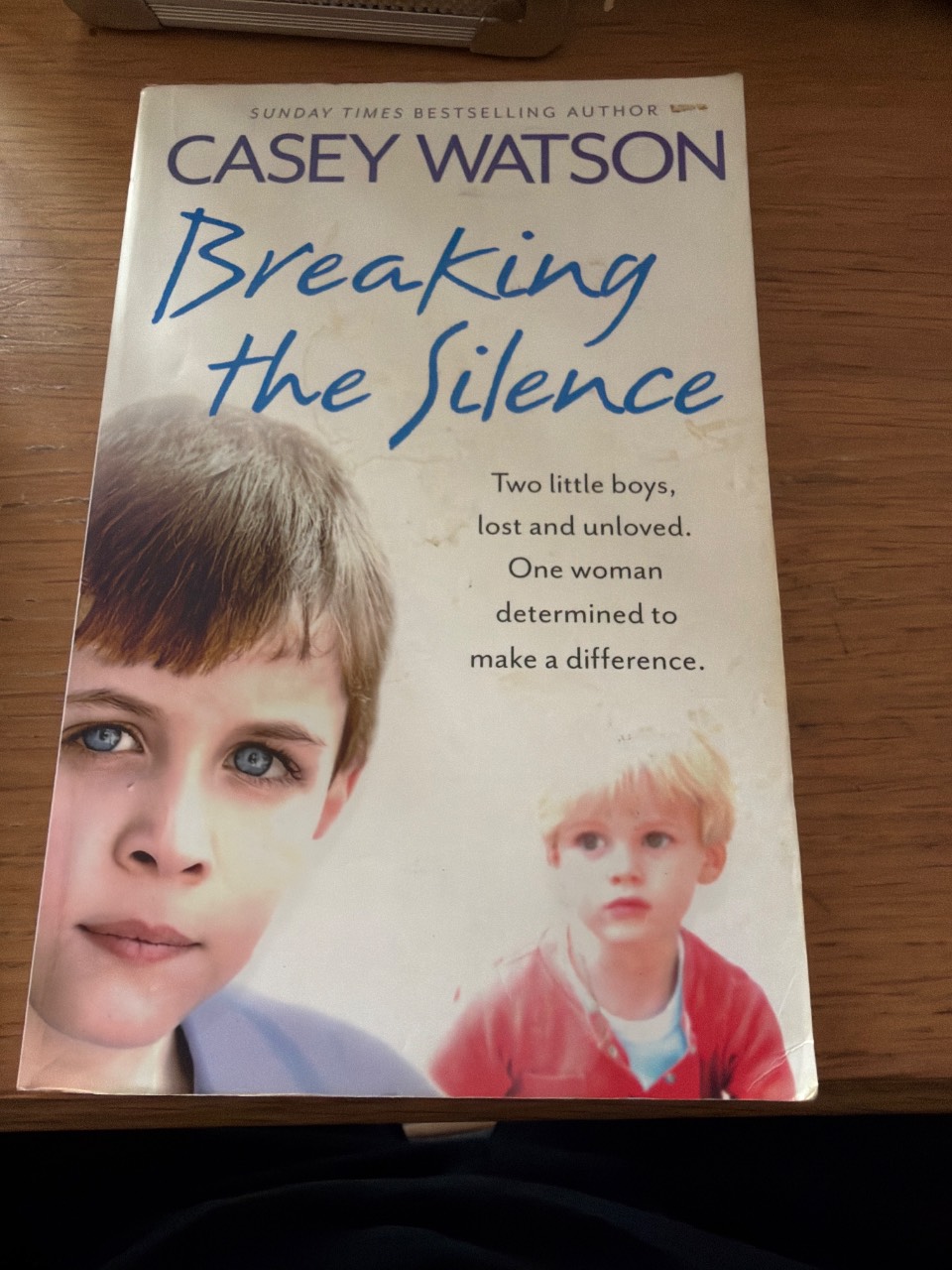 Breaking the Silence Two Little Boys, Lost and Unloved. One Foster Carer Determined to Make a Difference